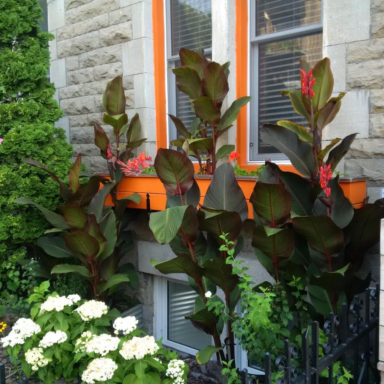 Le Gite - Montreal — Photos 1